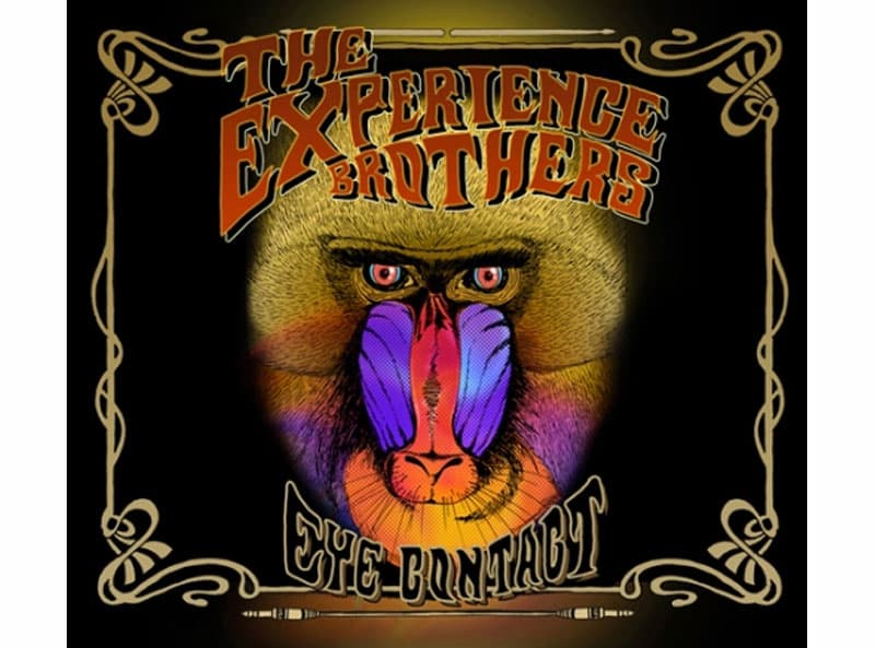 The Experience Brother, Mama Boy Psychedelia